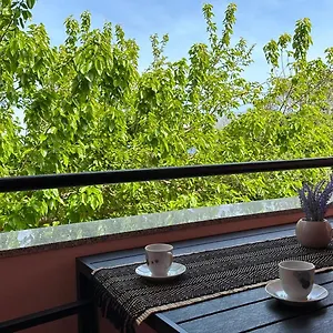 https://apartment-premantura-centar.in-istria.net