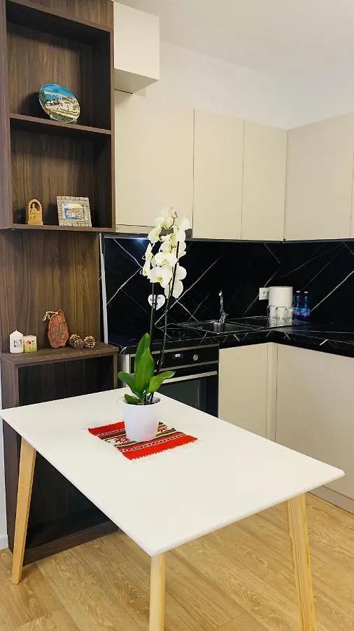 Proper Central Apartment 地拉那 阿尔巴尼亚